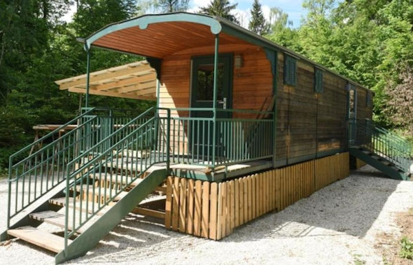 Waldspatzen Foto